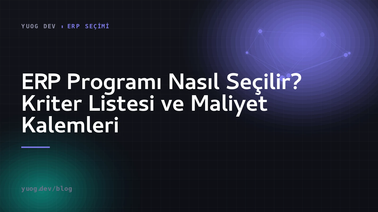 ERP seçim kriterlerini ve lisans dışı maliyet kalemlerini anlatan kapak görseli