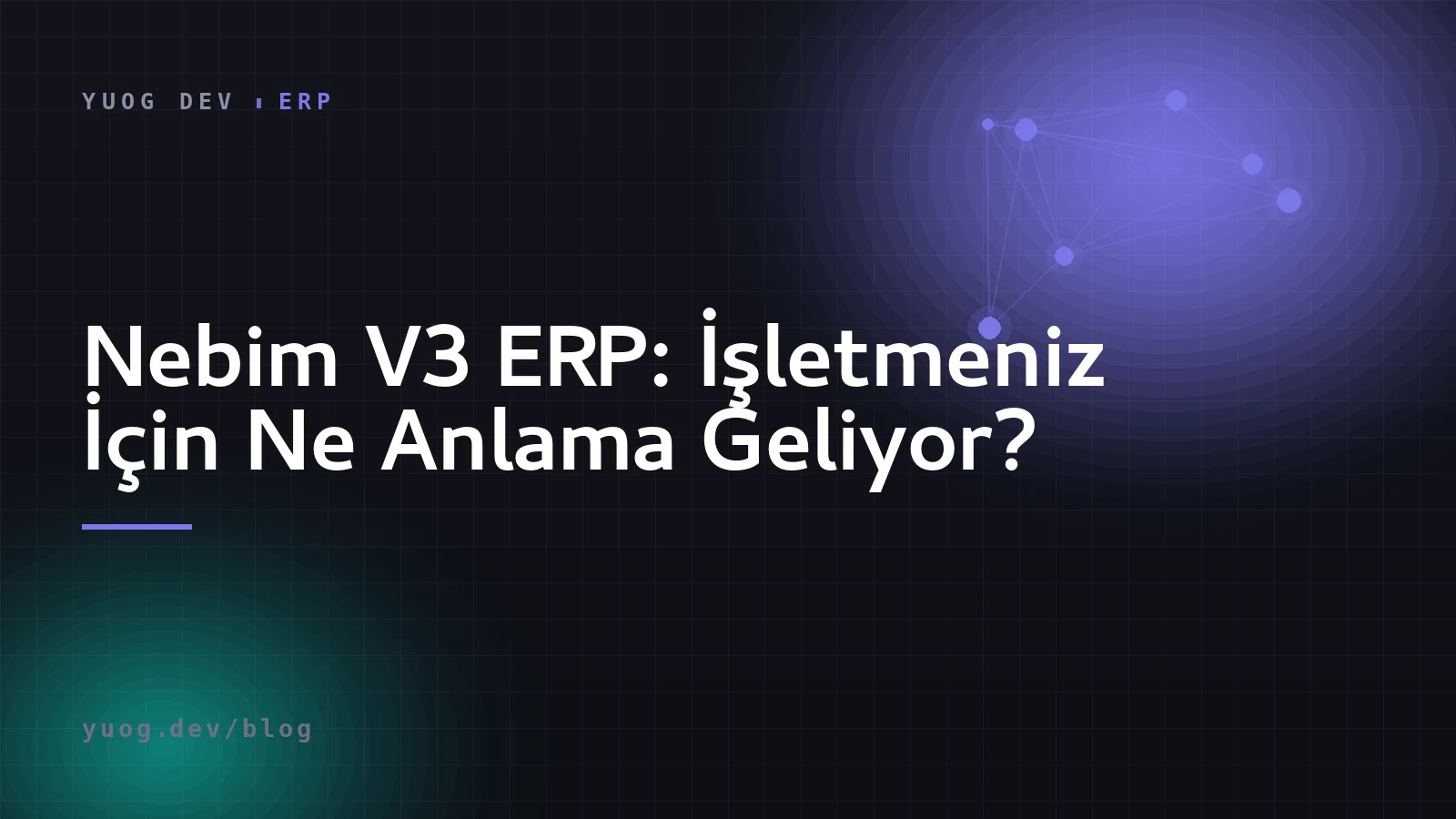 Nebim V3 ERP rehberi kapak görseli