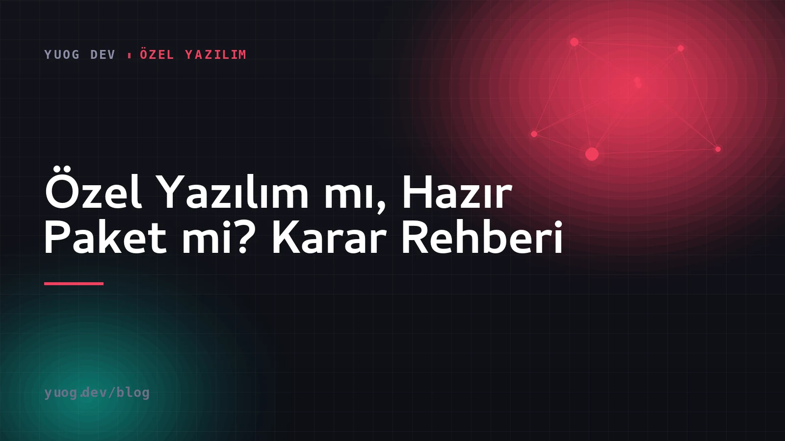 Özel yazılım mı hazır paket mi karar rehberi kapak görseli