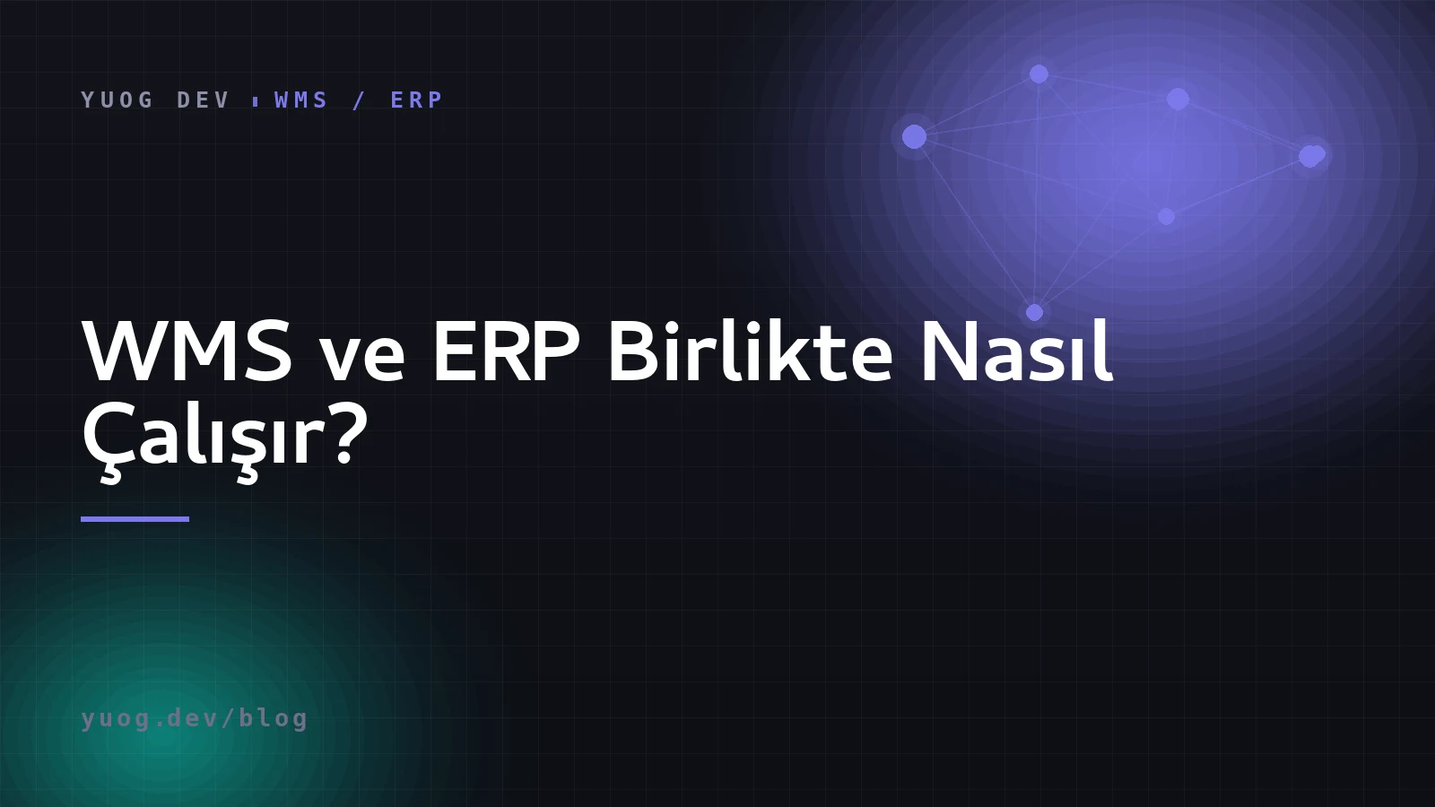 WMS ve ERP entegrasyon mimarisi kapak görseli